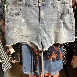 Torrid Light Blue Distressed Jean Shorts